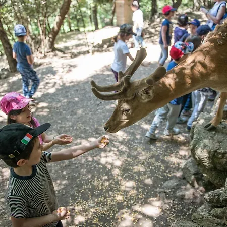 Alojamento de Turismo Rural Parco Donnortei Fonni