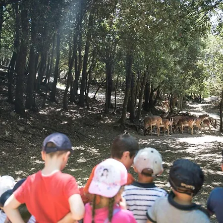 Alojamento de Turismo Rural Parco Donnortei *