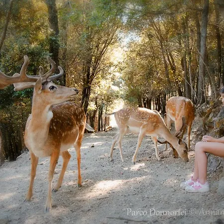 Alojamento de Turismo Rural Parco Donnortei