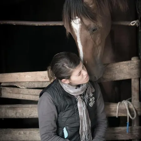 Parco Donnortei Alojamento de Turismo Rural Fonni