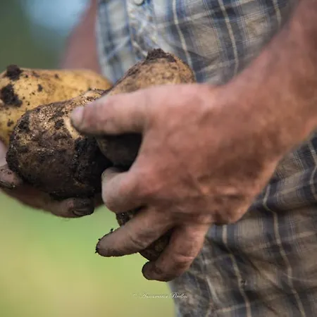 Parco Donnortei Fonni