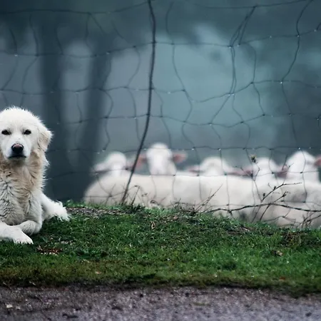 Alojamento de Turismo Rural Parco Donnortei *