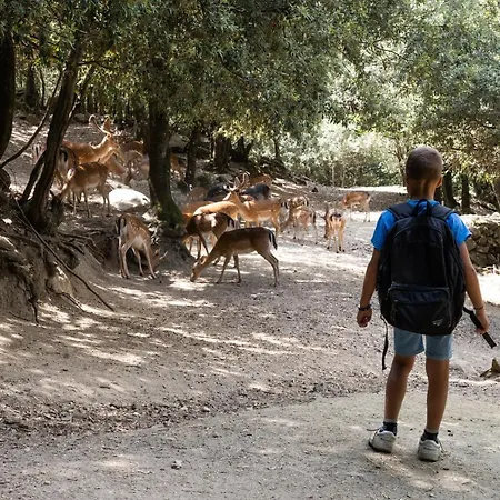 Parco Donnortei