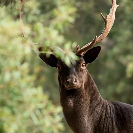 Alojamento de Turismo Rural Parco Donnortei *