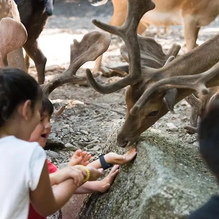 Alojamento de Turismo Rural Parco Donnortei Fonni