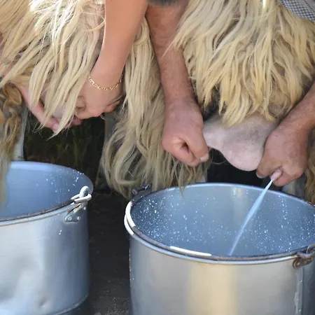 Alojamento de Turismo Rural Parco Donnortei Fonni