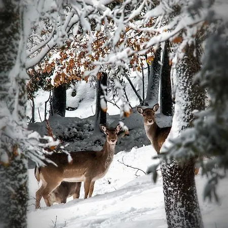 Κατάλυμα σε φάρμα Parco Donnortei