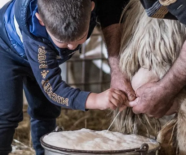 东诺雷公园酒店 农家乐 *